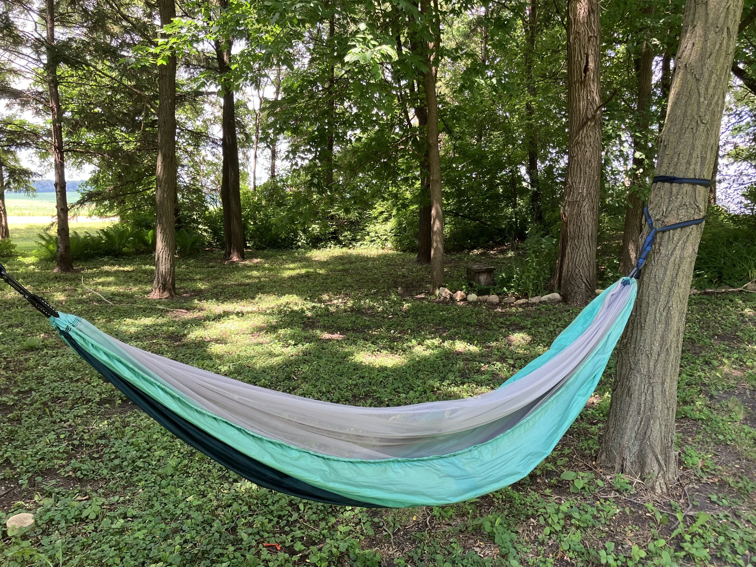 hammock.jpeg