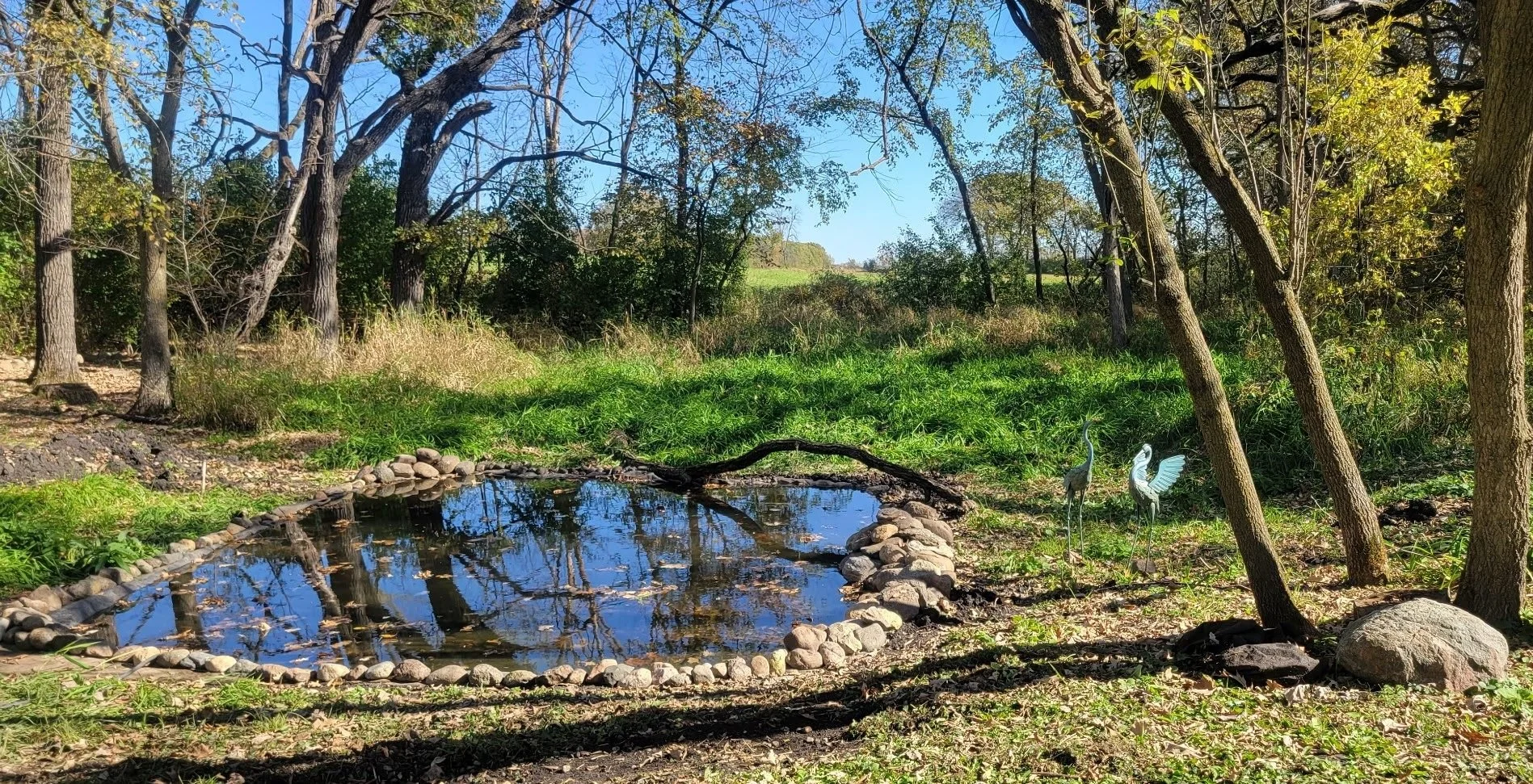 fall pond.jpg