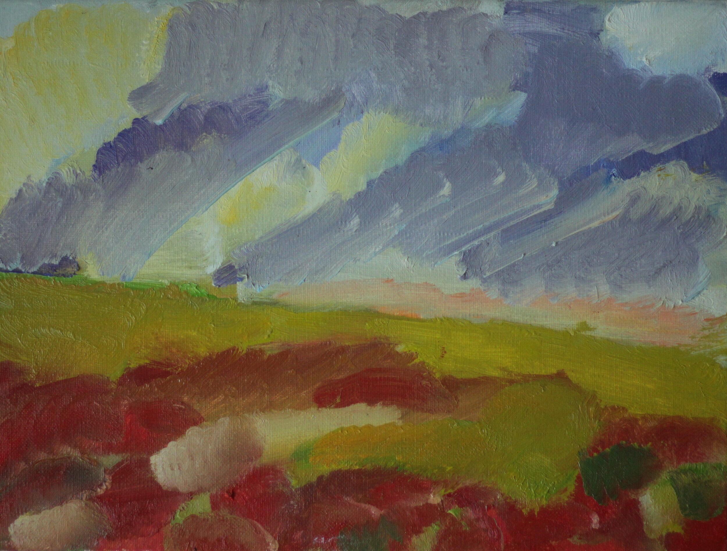 13.Poppy Field, Denton, Sussex, Oil on Canvas 30 x40 cm.JPG