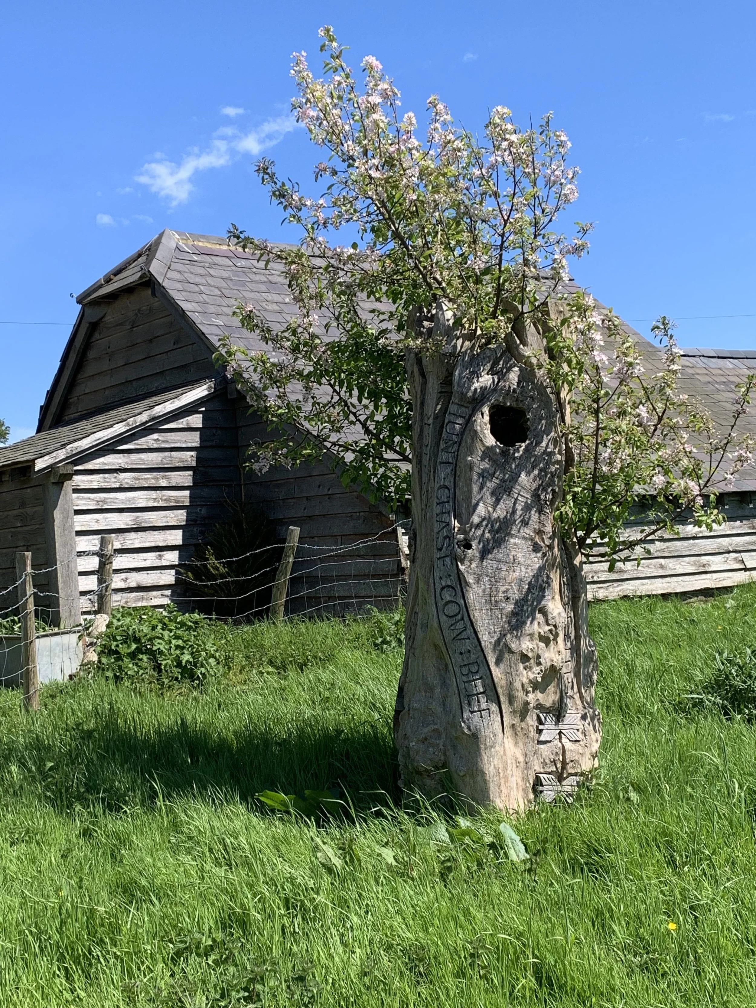  A Summer of Sculpture