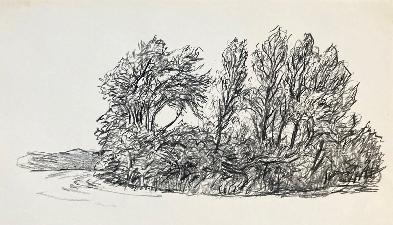 A Stand of Poplars at the Upper Rise