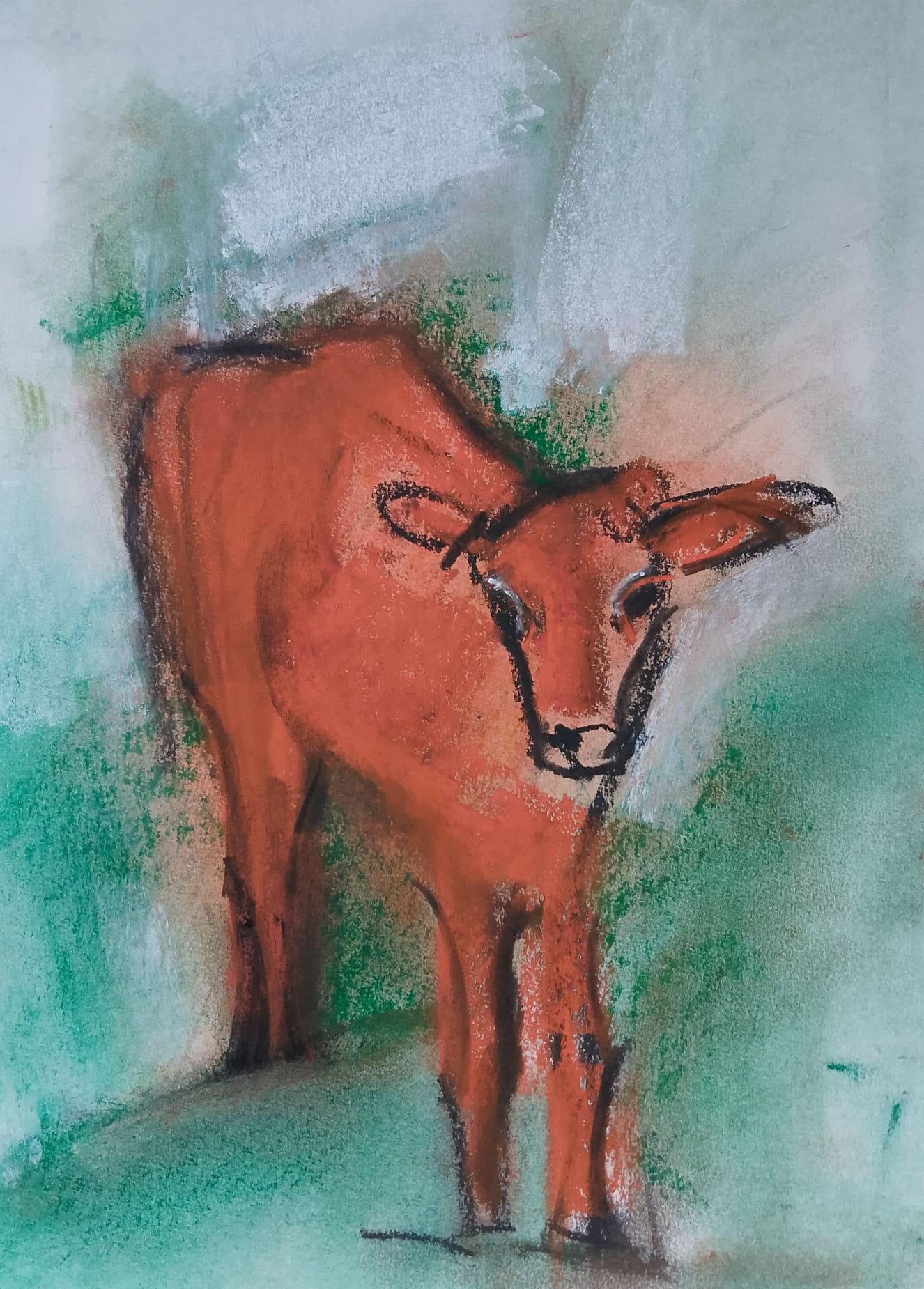 Curious Calf 2022