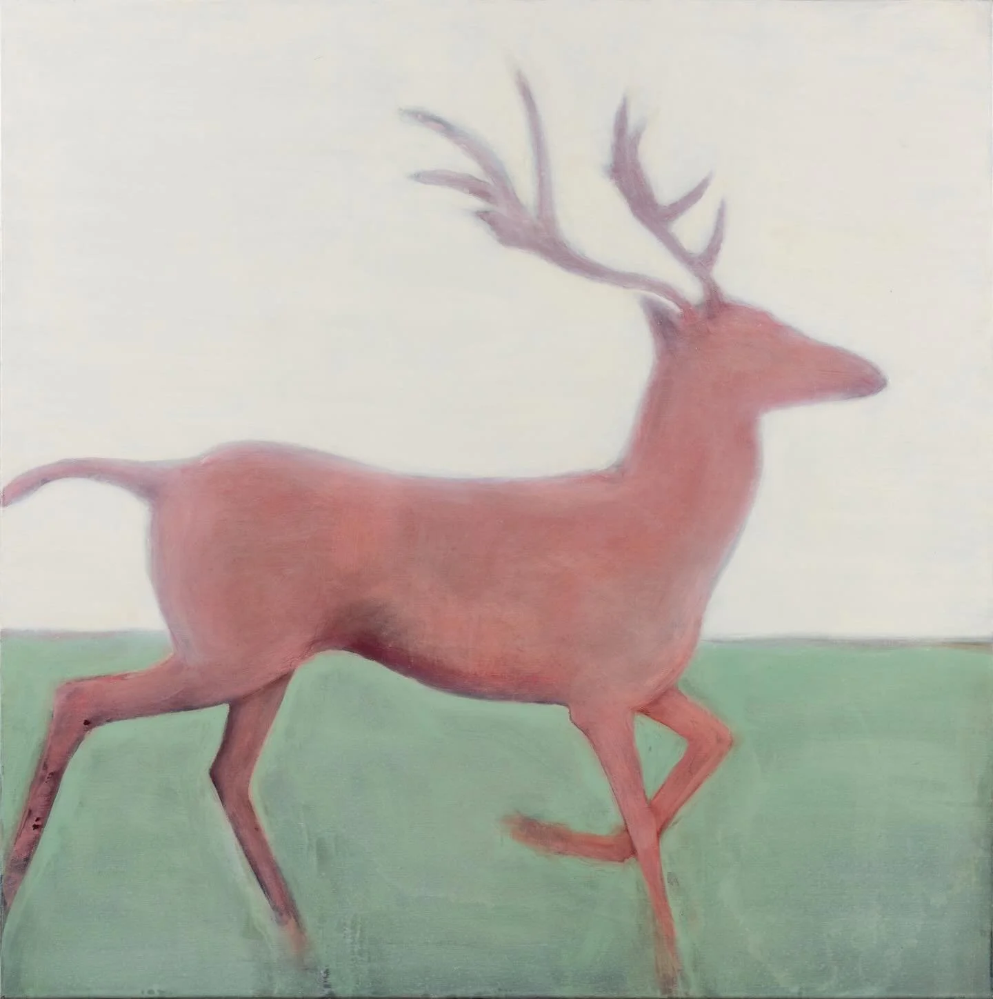 We are soon on our way to Affordable Art Fair Battersea with a collection of recent paintings by Sussex artist Philippa Cannan. Her work aims to evoke a sense of the innate energies of an animal: the tension between their inherent wildness as well as