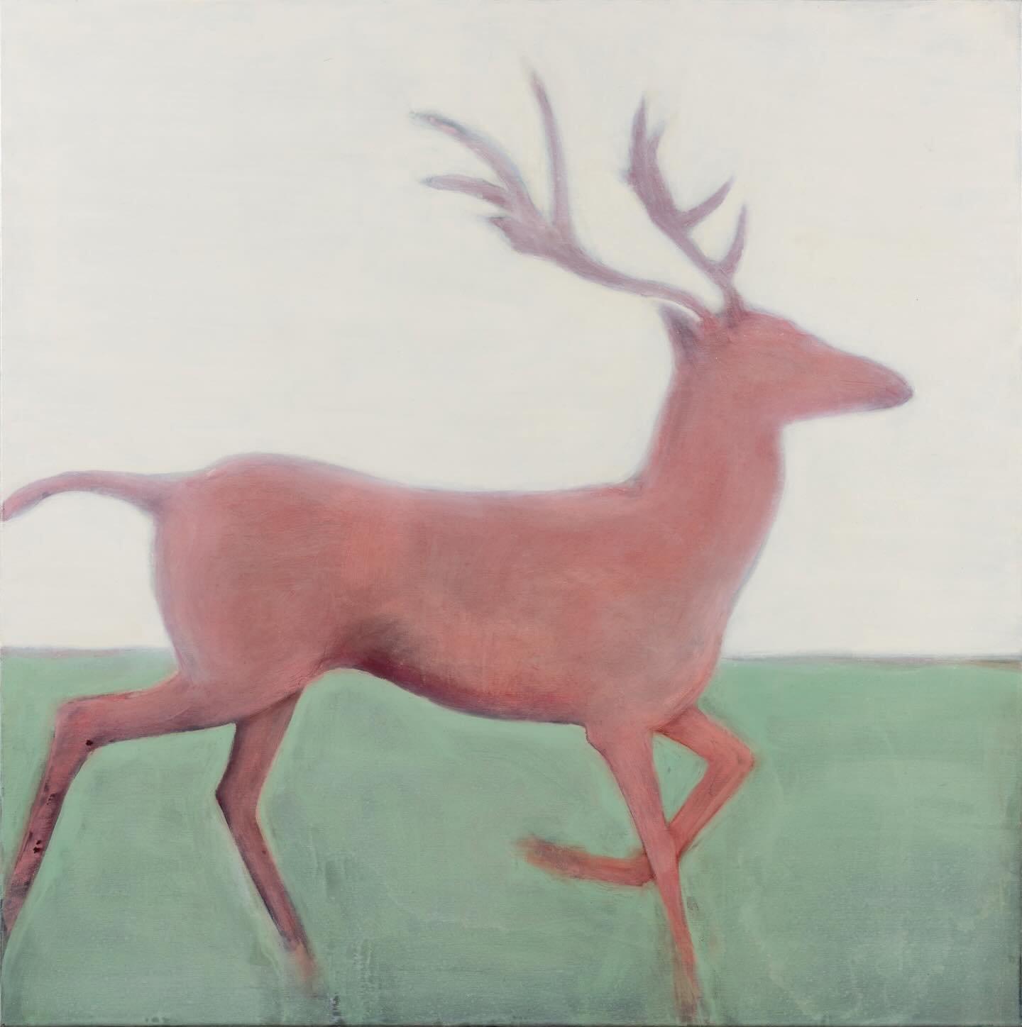 We are soon on our way to Affordable Art Fair Battersea with a collection of recent paintings by Sussex artist Philippa Cannan. Her work aims to evoke a sense of the innate energies of an animal: the tension between their inherent wildness as well as