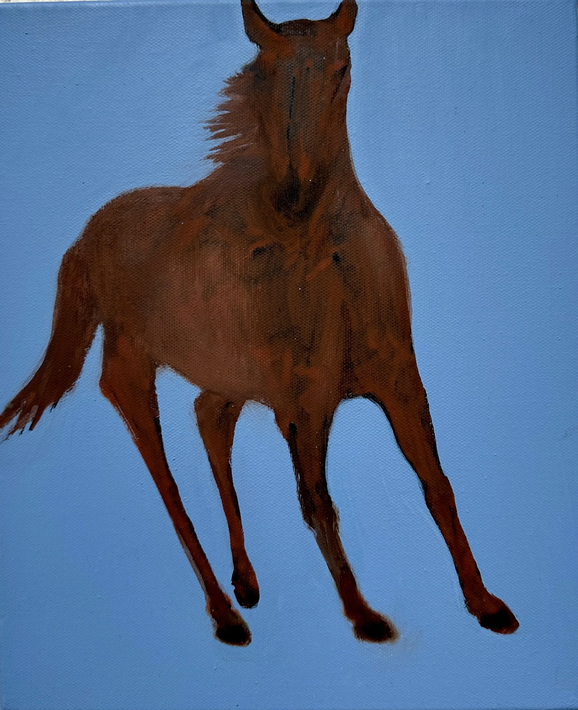 Philippa Cannan: Autumn Evening