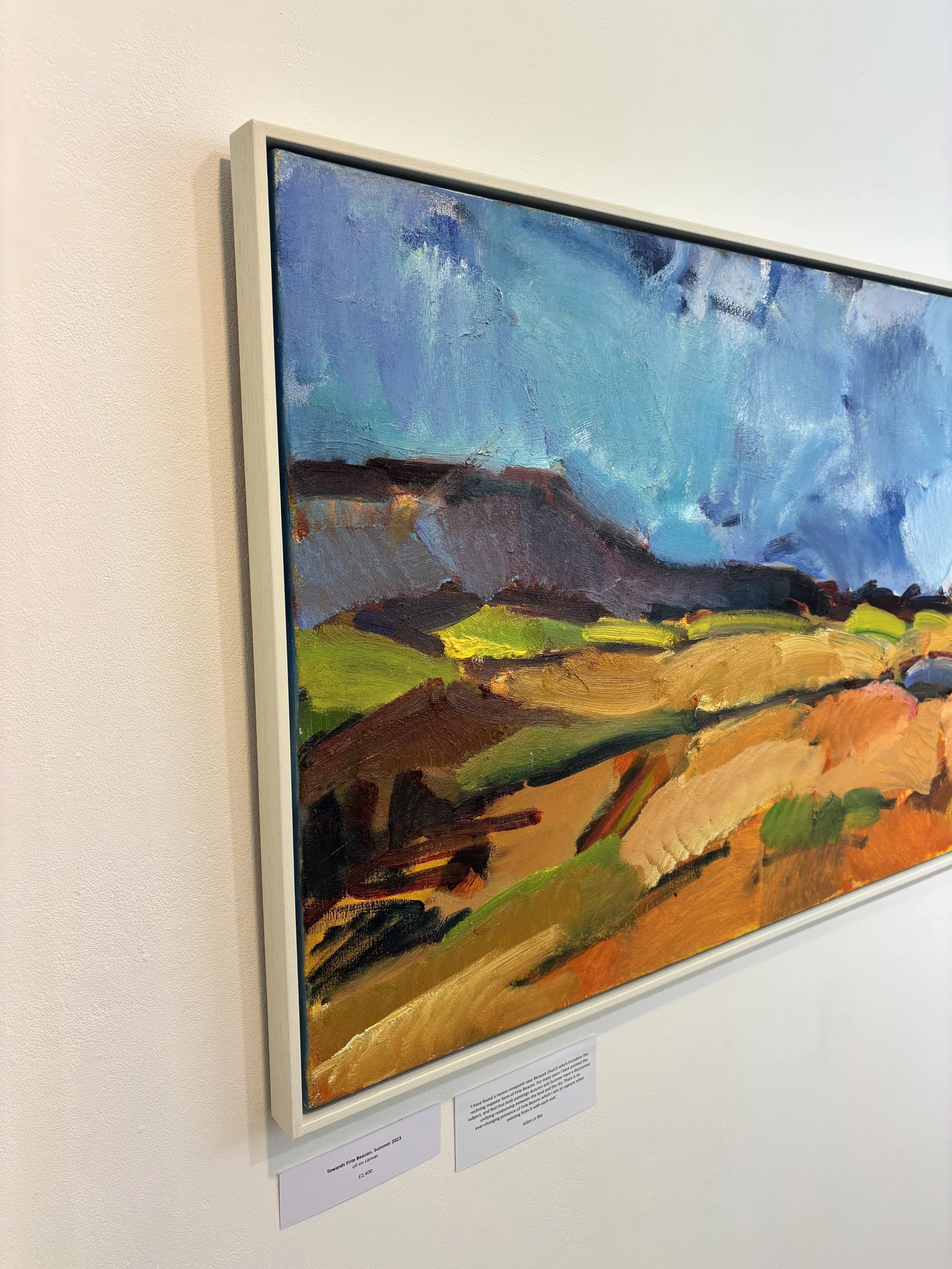 JulianLeBas | Towards Firle Beacon Summer 2023 | Detail 5.jpeg