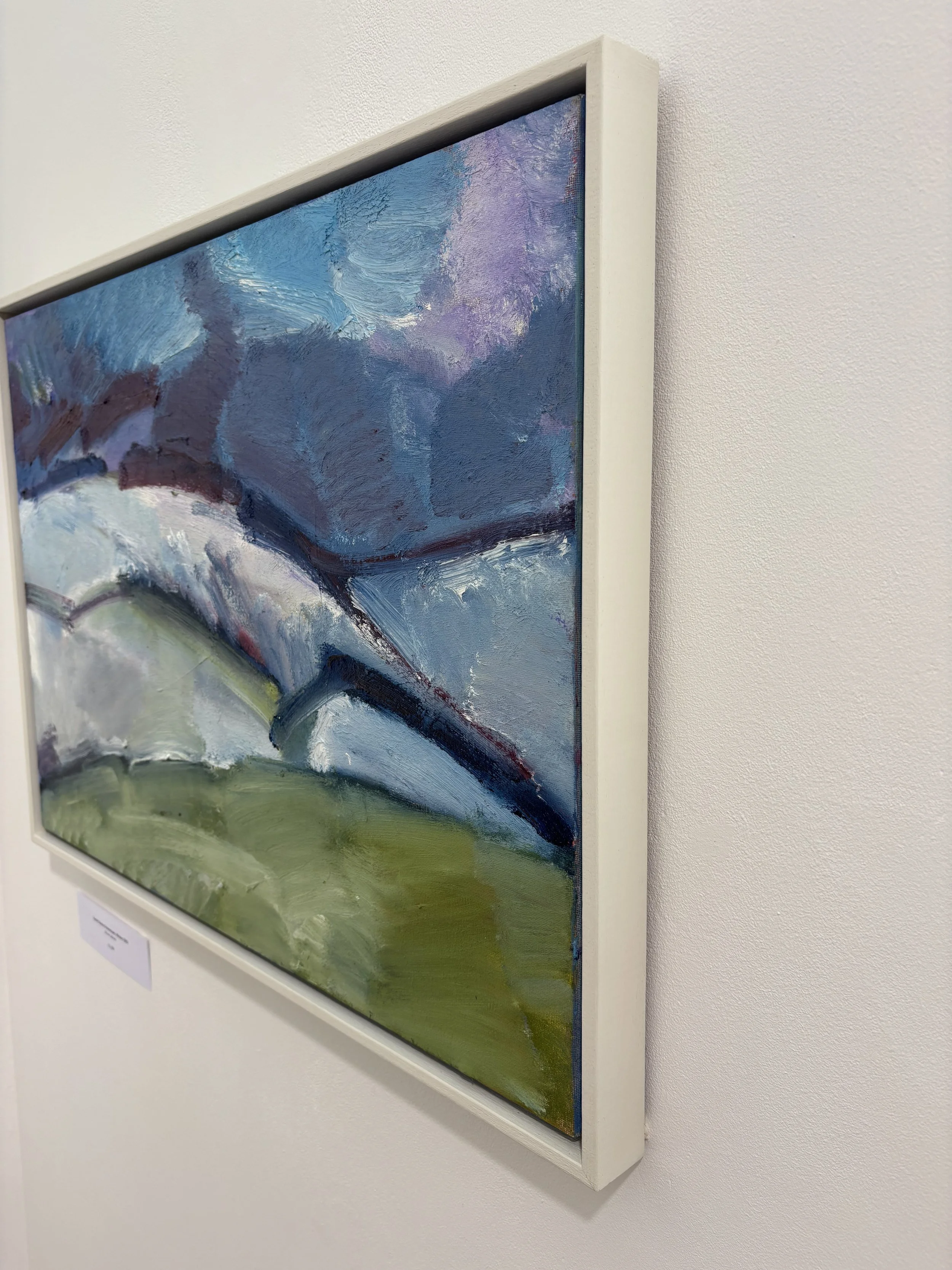 JulianLeBas_South Downs Snowscape, Winter 2025_Detail1.jpeg