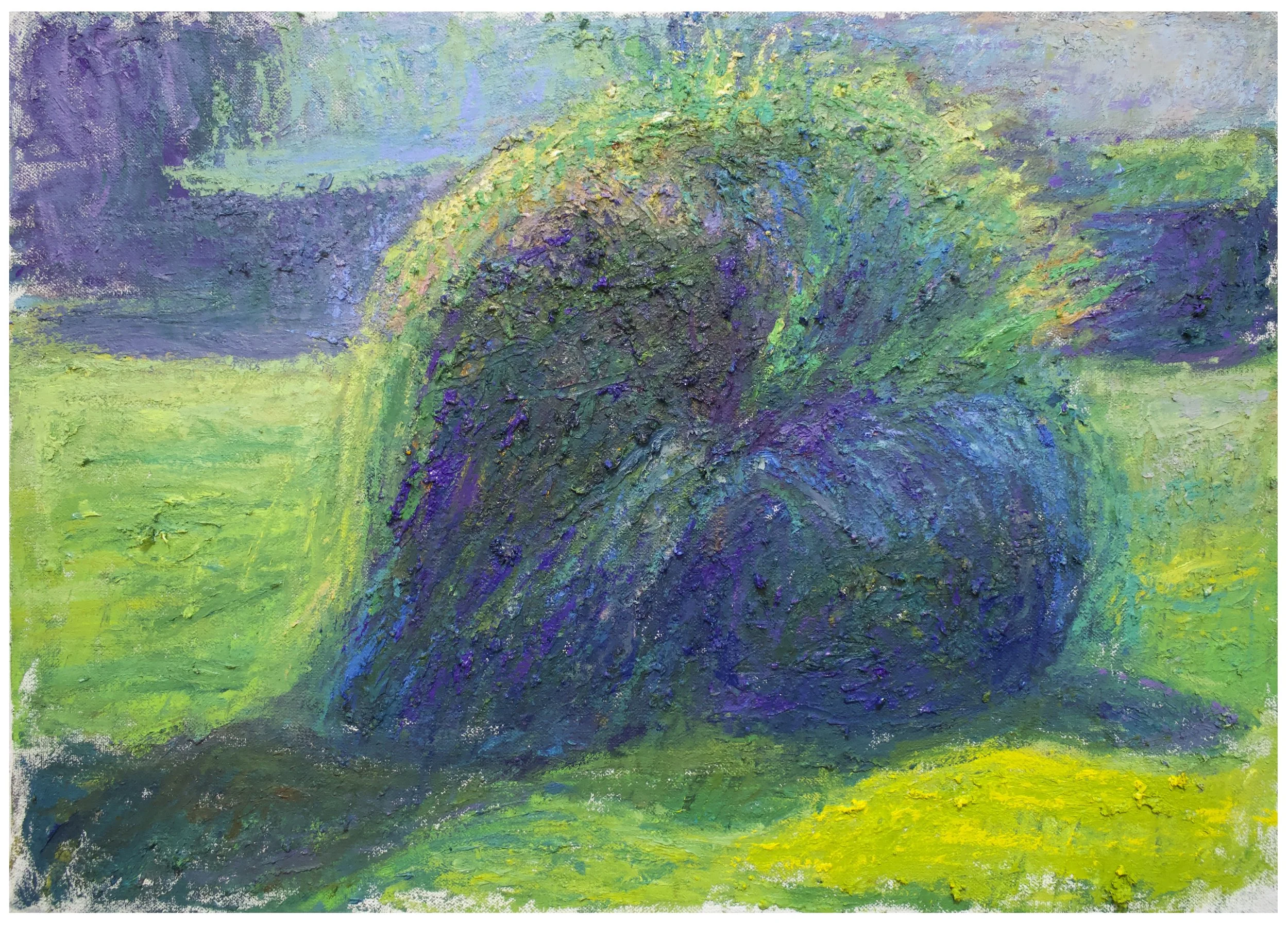 hawthorn blossom.jpg