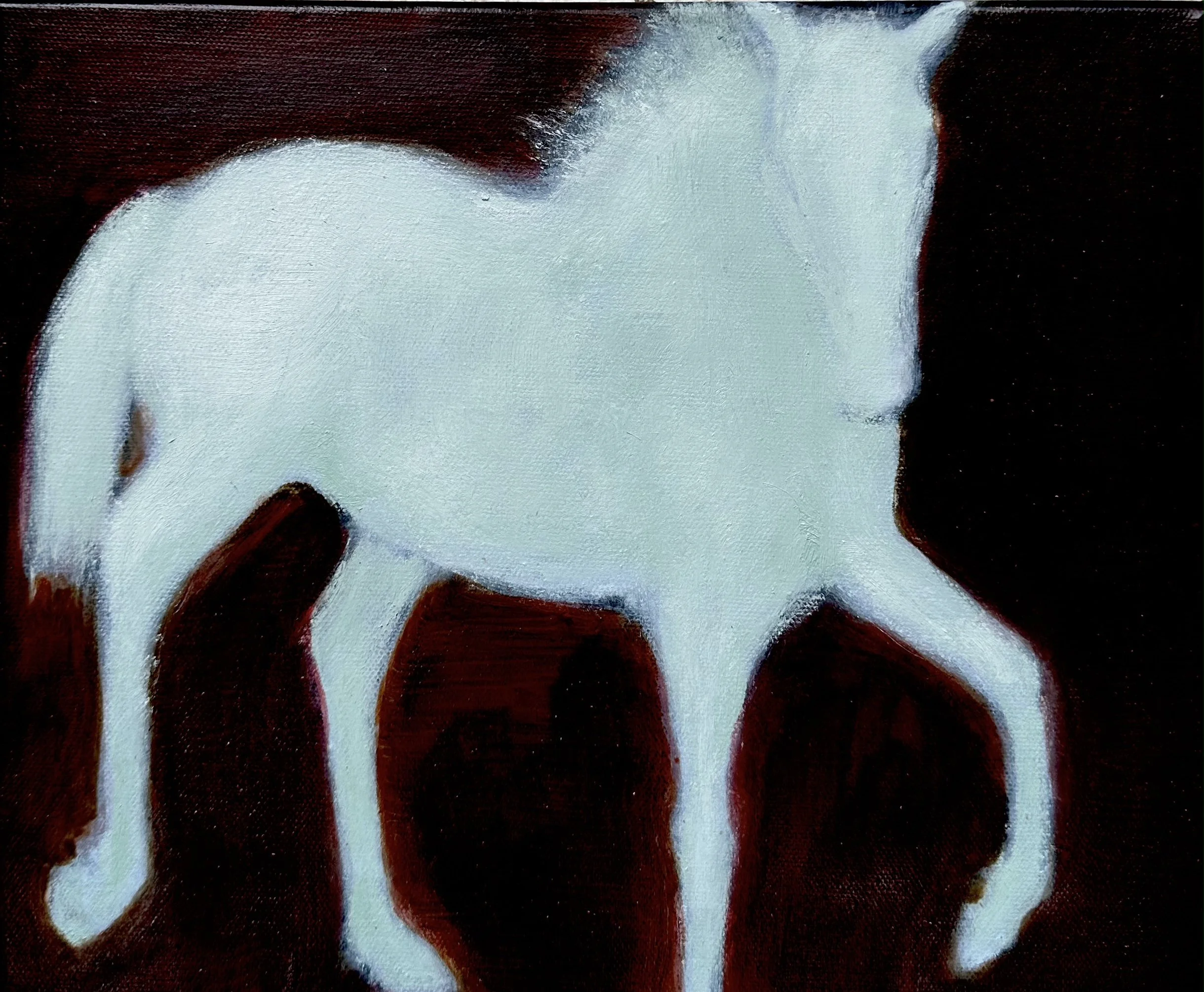 Philippa Cannan: Moonlight