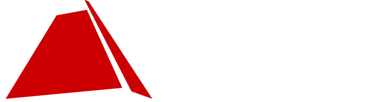 Iron Road Partners