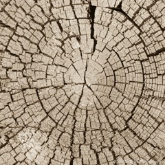 Retreat Mindful Leadership