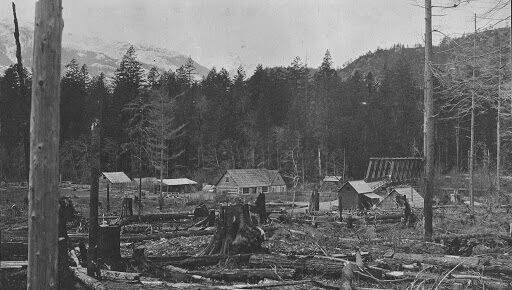 Cheakamus House