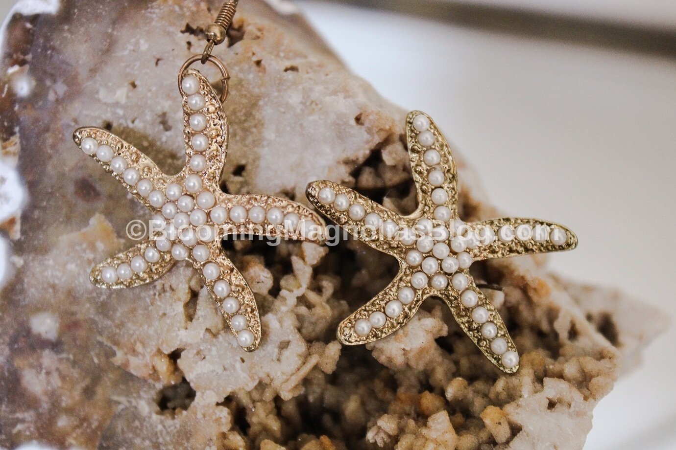Starfish earrings 