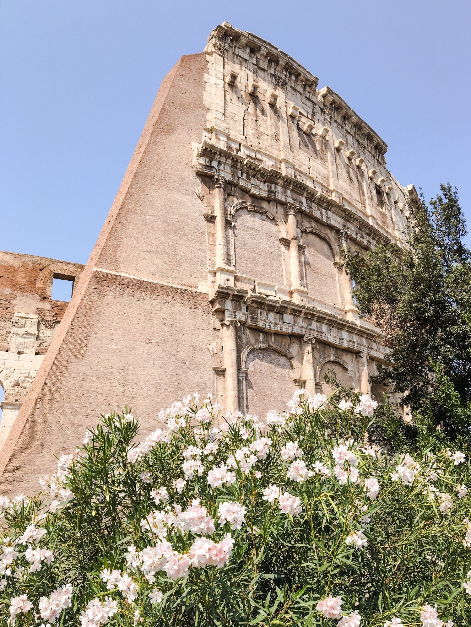 Rome, Italy, continued… | Blooming Magnolias Blog | Travel, Colosseum 