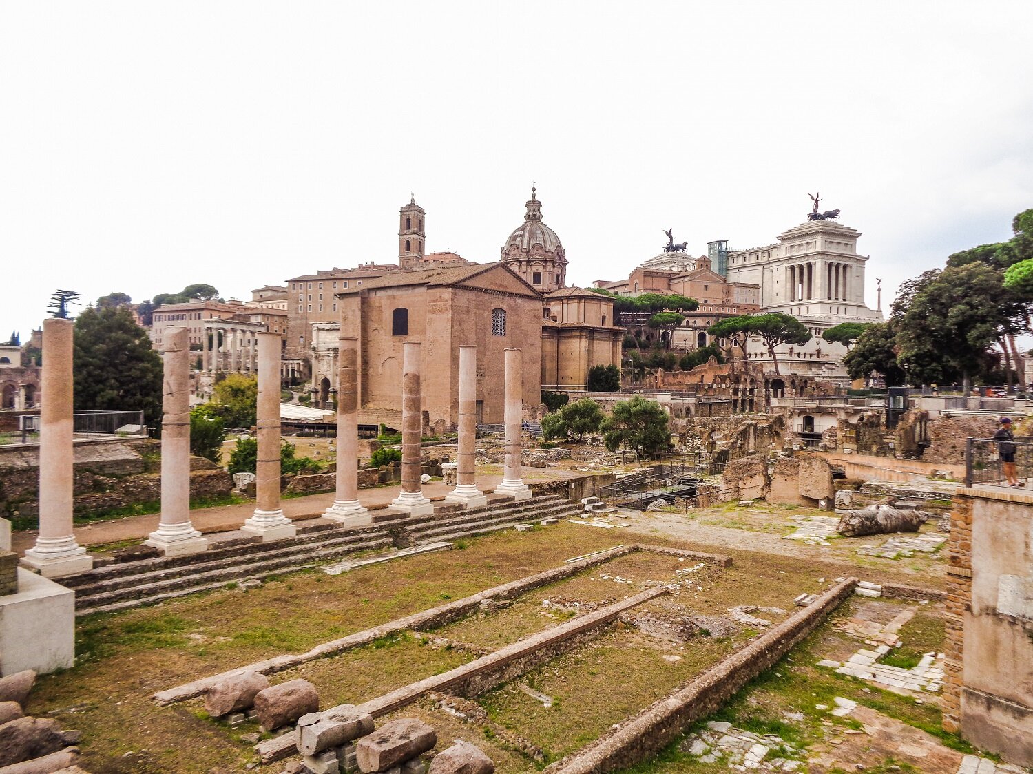 Rome, Italy, continued… | Blooming Magnolias Blog | Travel, Roman Forum 
