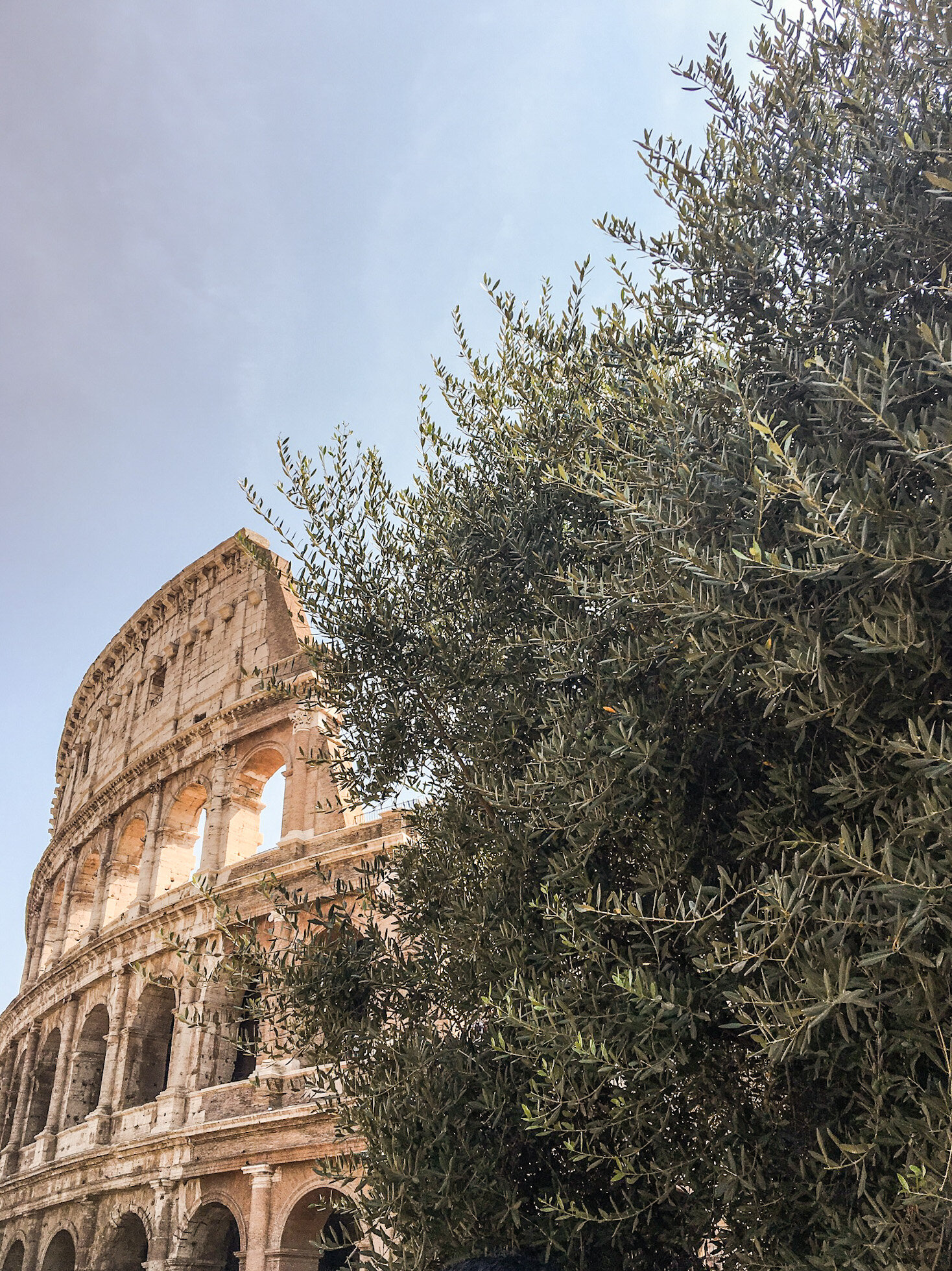 Colosseum, Rome, Italy | Blooming Magnolias Blog | Travel 