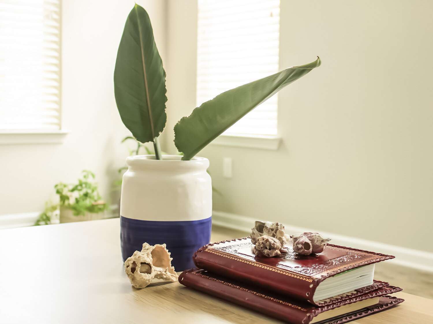 Moving in the times of COVID | Blooming Magnolias Blog | Lifestyle, Home, Home decor, blue and white 