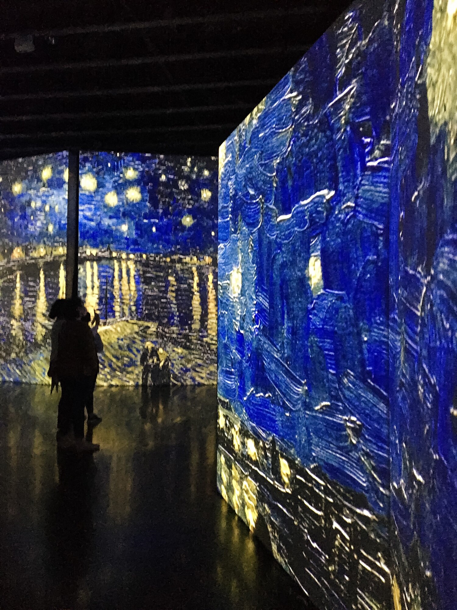Starry Night at Van Gogh Alive
