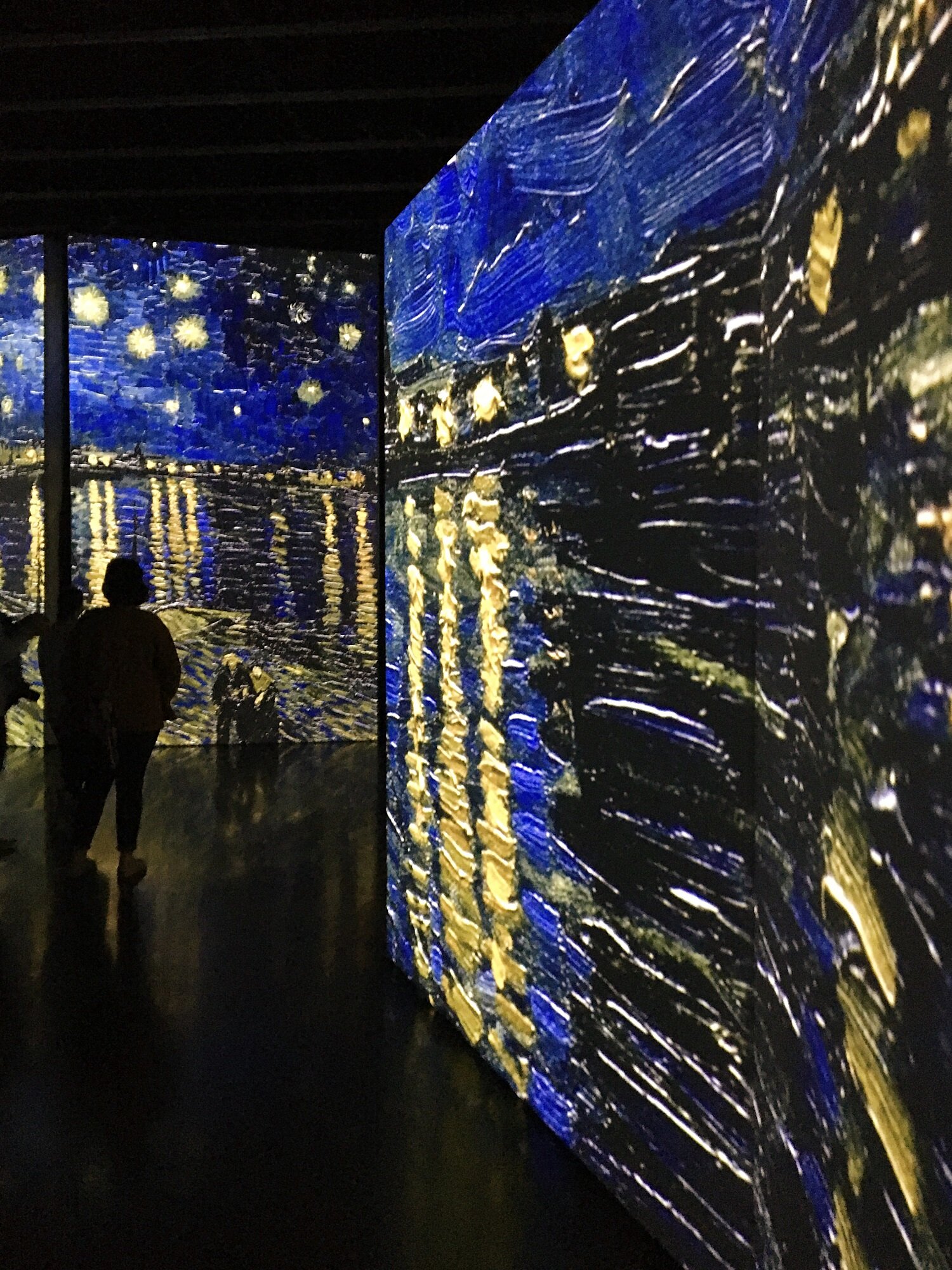 Starry Night at Van Gogh Alive, Dali Museum