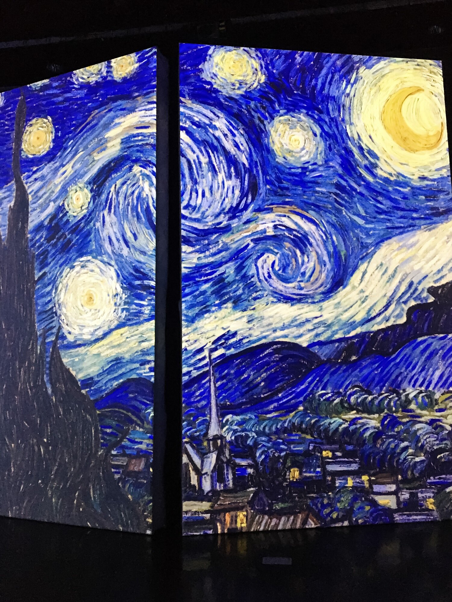Starry Night at Van Gogh Alive, Dali Museum, St Petersburg, Florida