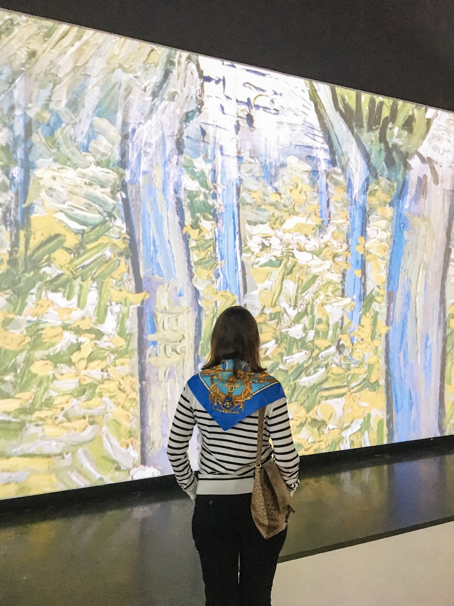 Van Gogh Alive - Dali Museum, Saint Petersburg, Florida