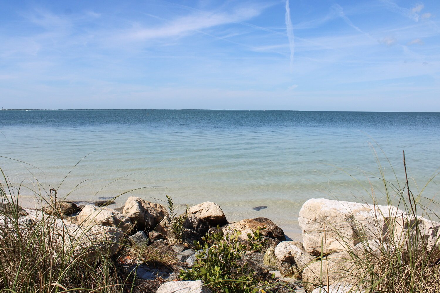 Howard BeachFred Howard Park in Tarpon Springs, Florida | Blooming Magnolias Blog | Travel