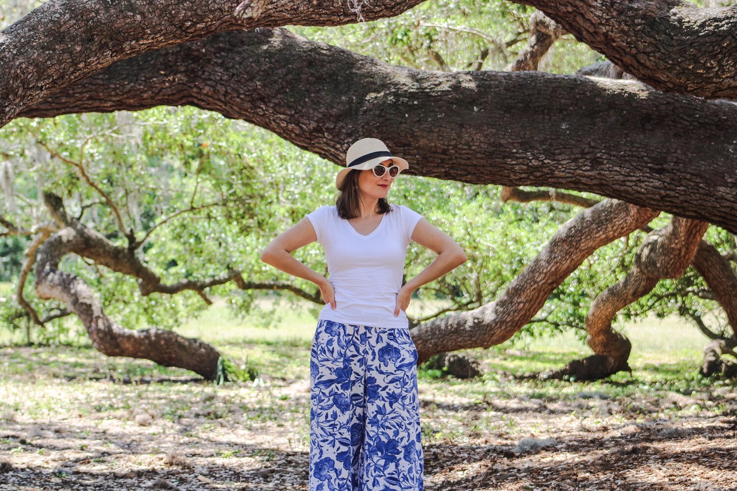 Our favorite Tampa Bay parks to visit | Blooming Magnolias Blog | Travel
