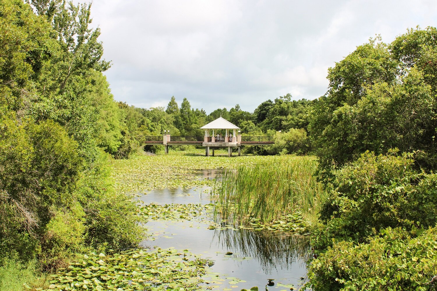 Our favorite Tampa Bay parks to visit | Blooming Magnolias Blog | Travel, Florida