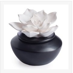 Airomé Gardenia Passive White Porcelain Diffuser, Non-Electric, Battery-Free Fragrance and Essential