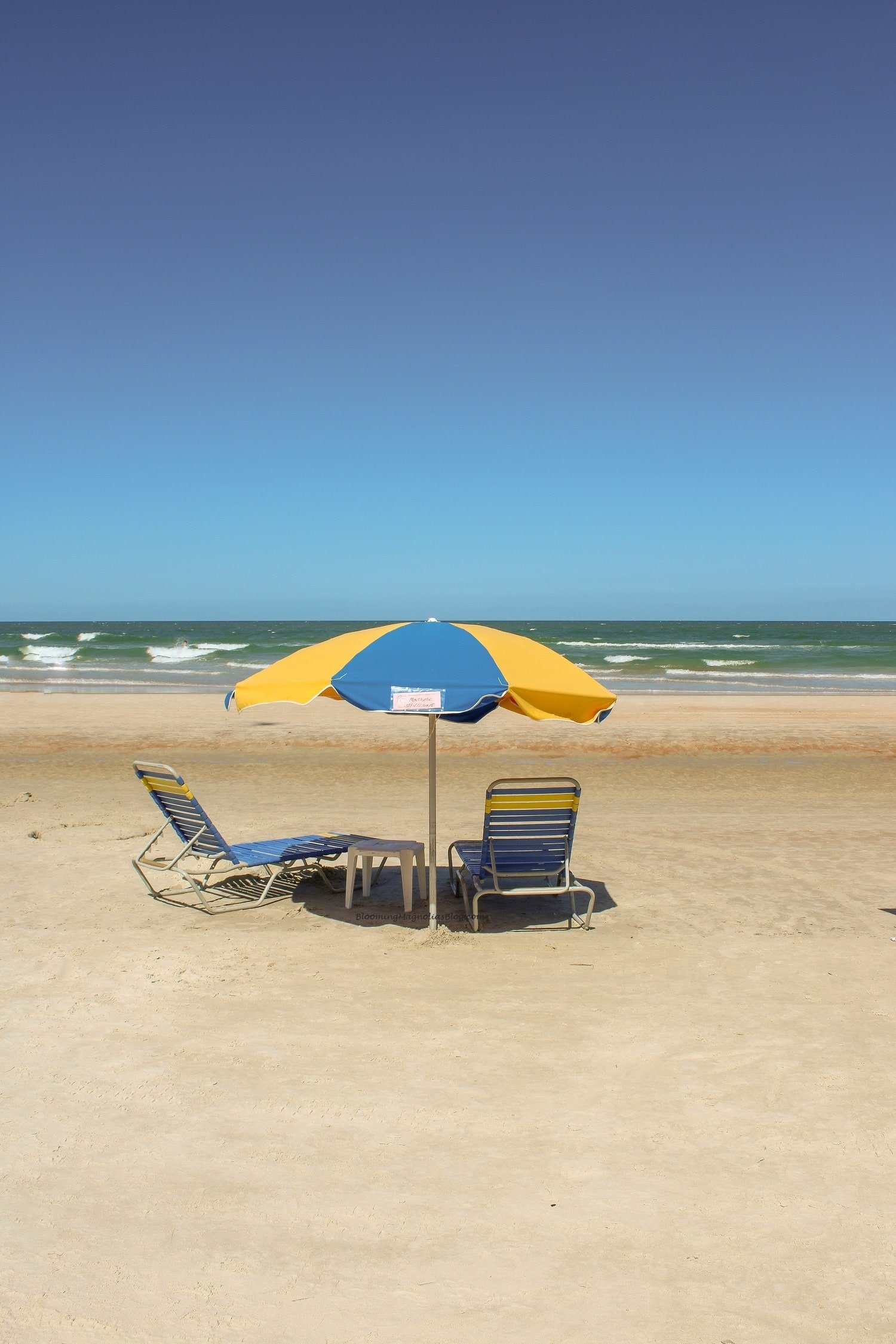 Postcards from Daytona Beach... | Blooming Magnolias Blog | Travel, beach day, Daytona Beach pier