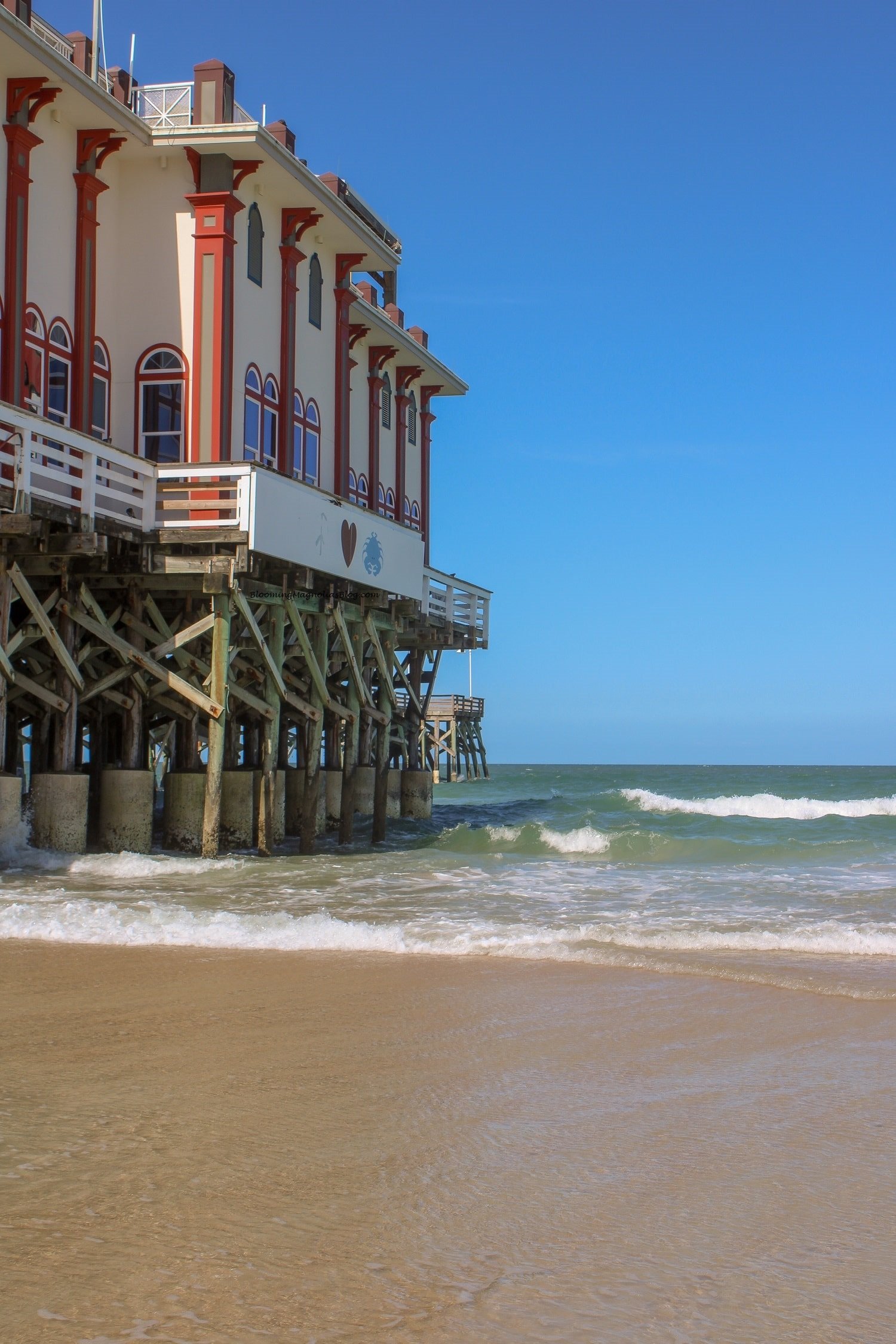 Postcards from Daytona Beach... | Blooming Magnolias Blog | Travel, beach day, Daytona Beach pier