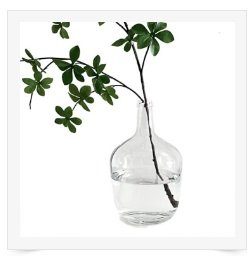 Large Clear Glass Vases Balloon Jug