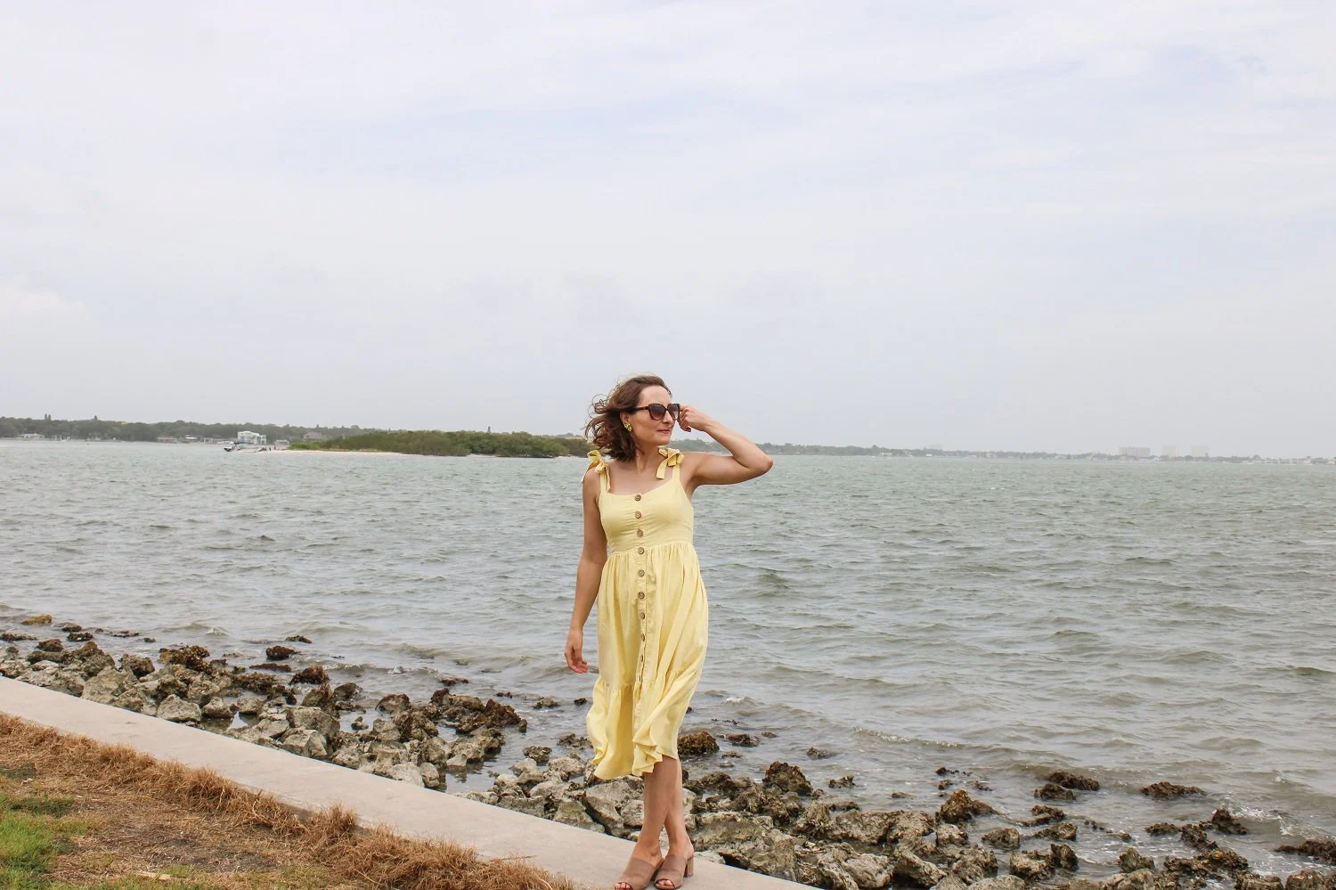 PLEATED DRESS WITH PLEAT SLEEVE JARDIN POSTCARDS