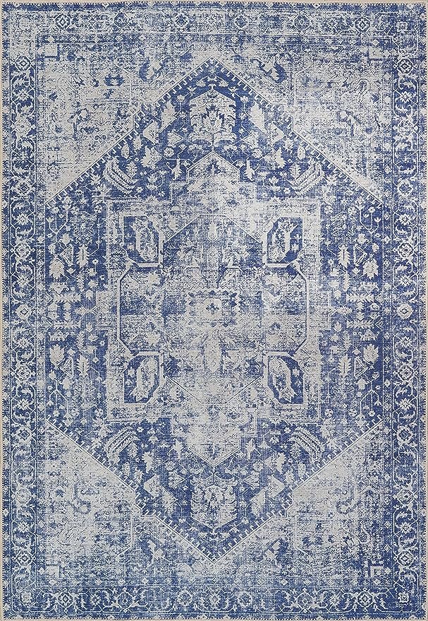 Blue and white area rug