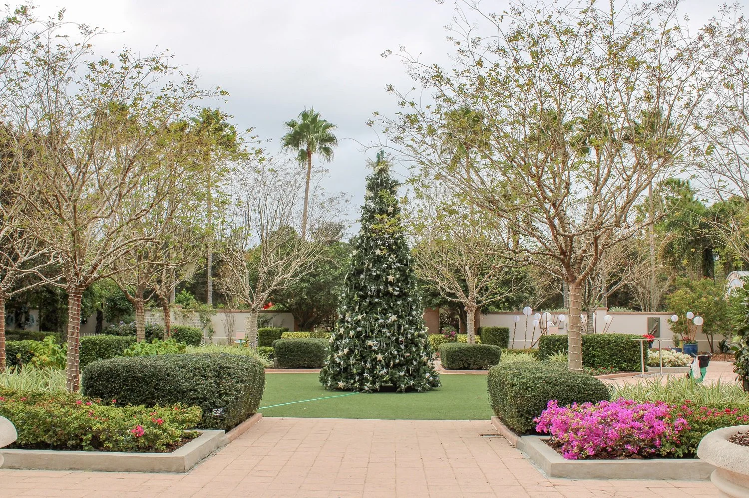 Christmas lights at hillsborough county fairgrounds