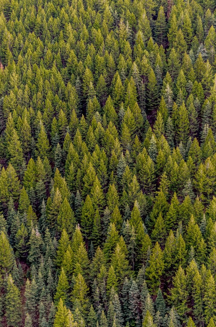 Fundraising Webinar for Later Stage Innovators