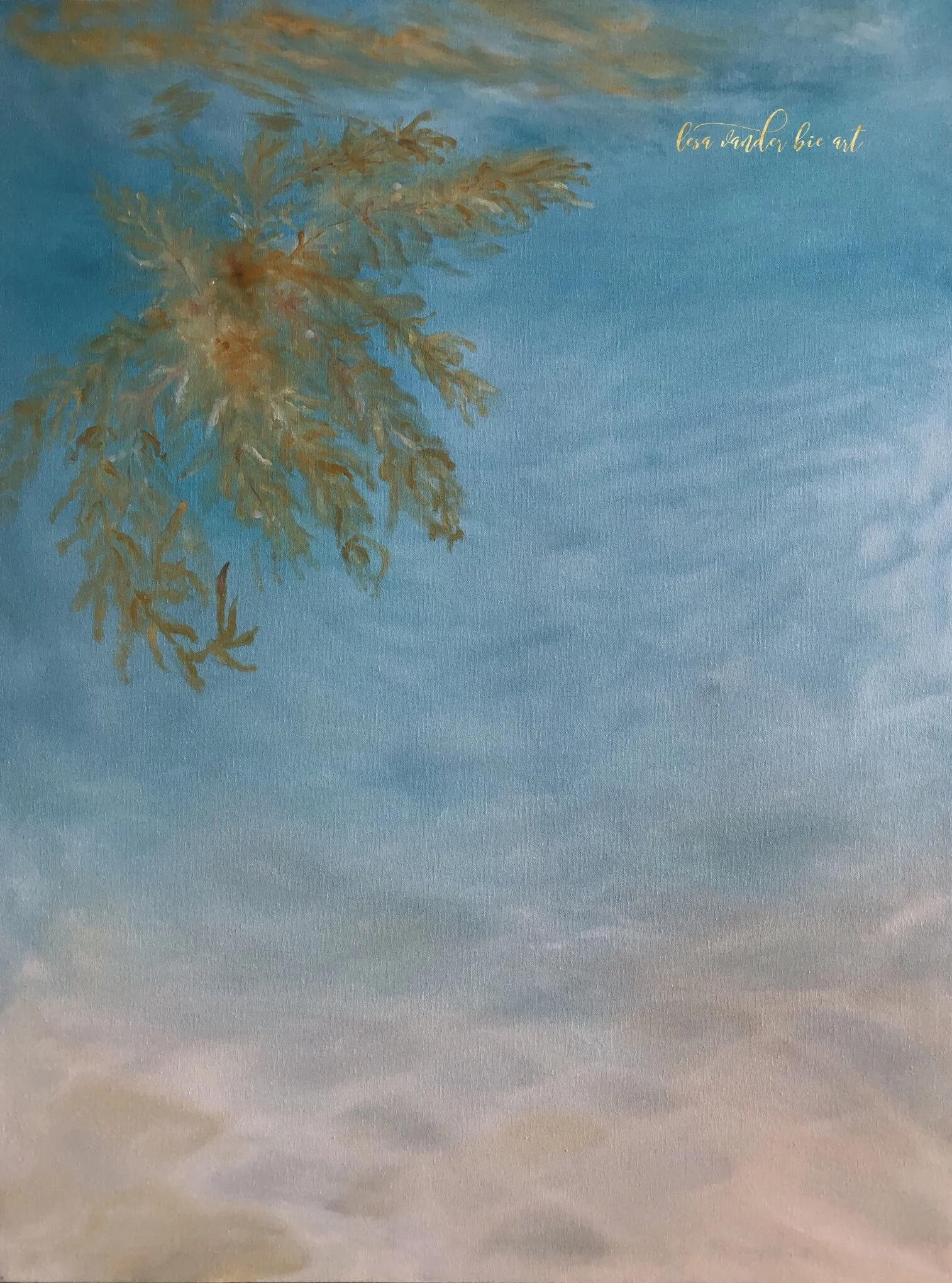 underwater.sand.jpg