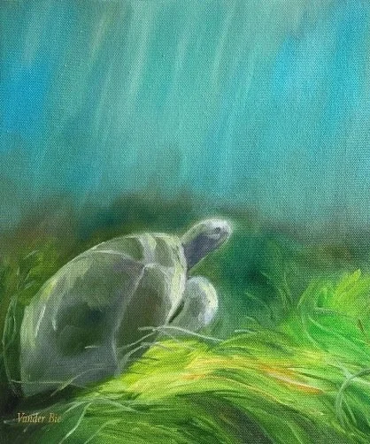 Turtle Sway - 12x12" - $300
