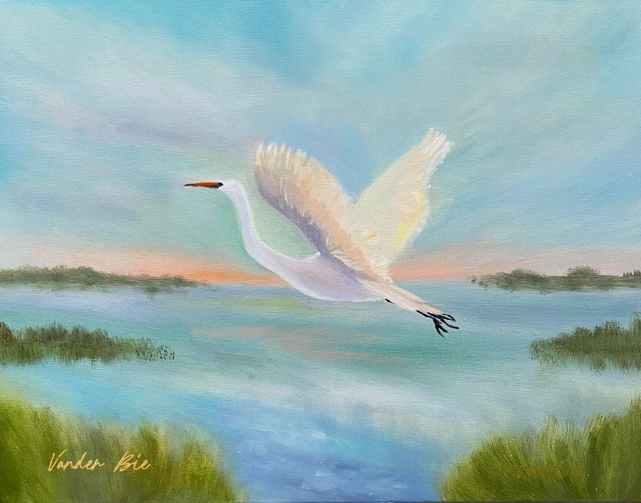 Carolina Egret | 11 x 14" | Unframed