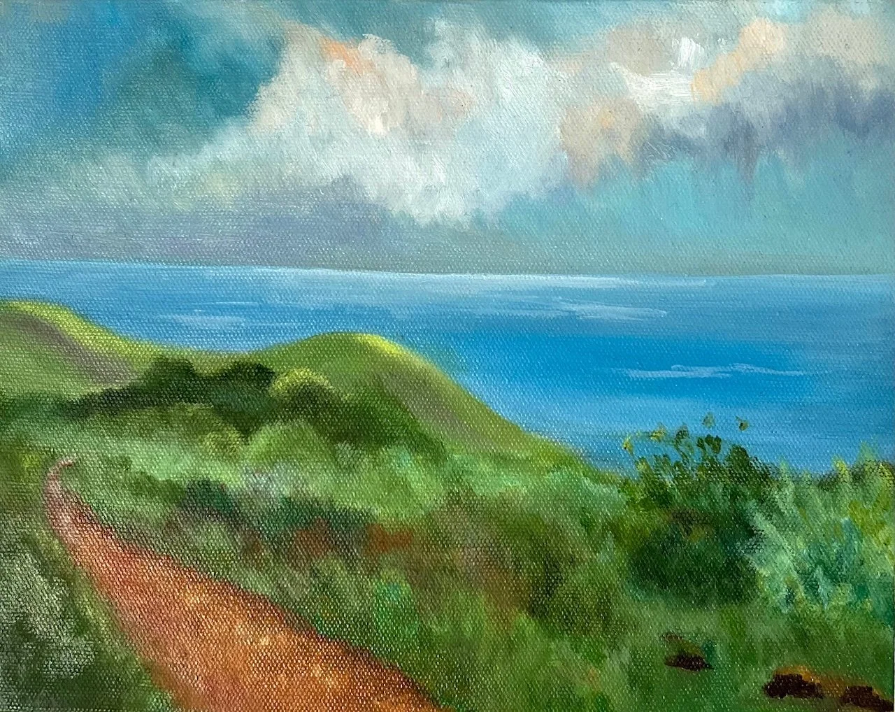 Crystal Cove Hiking Trails | 8x10" | Custom Frame