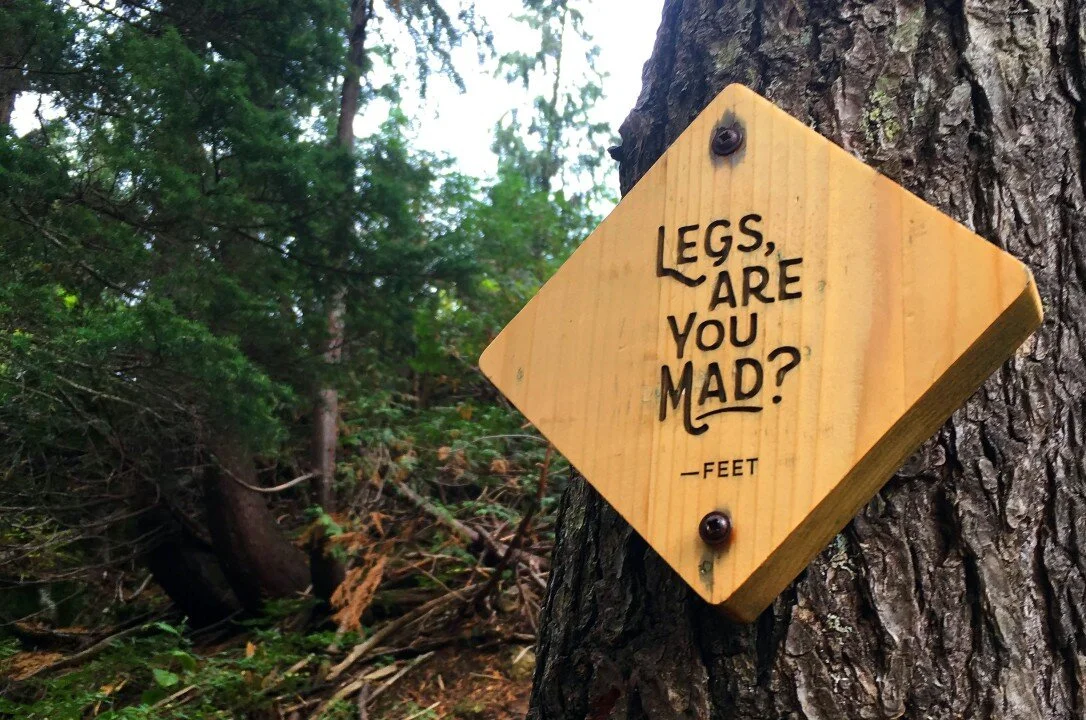 Qual montanha você escolheu subir?