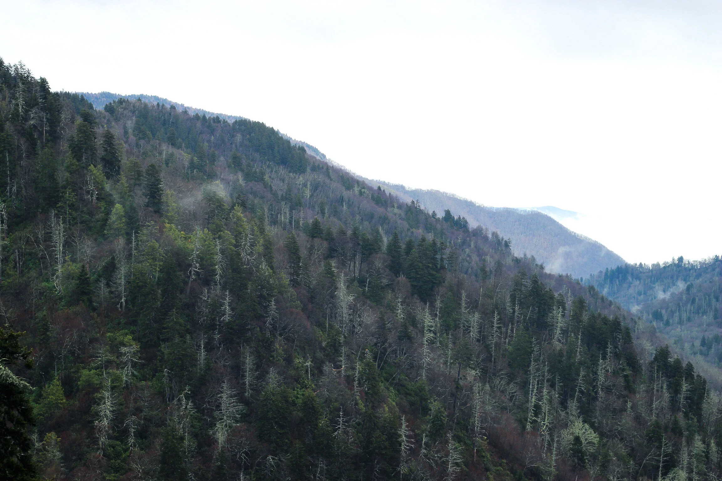 IMG_0048-2.jpg