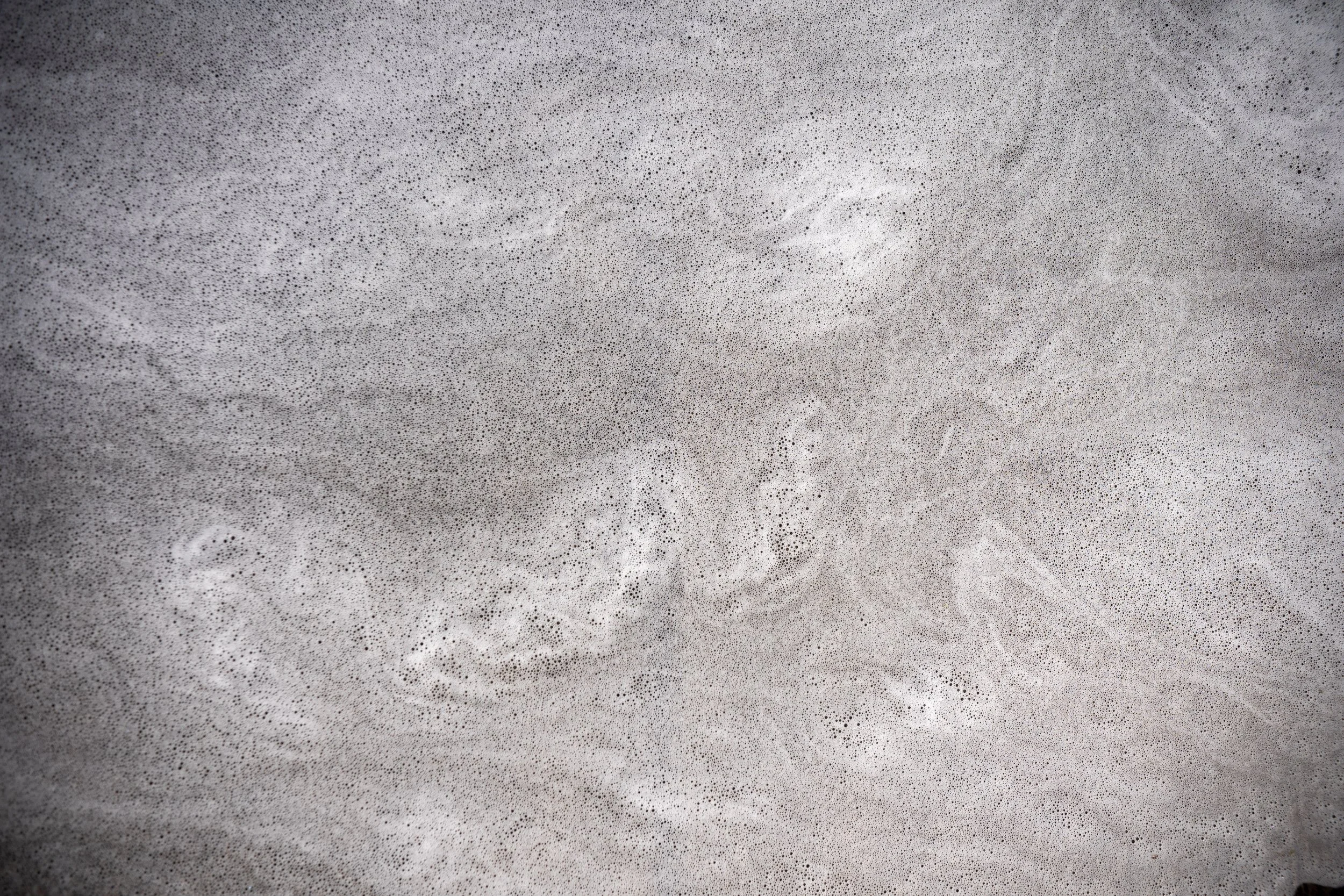 MSR01089.jpg