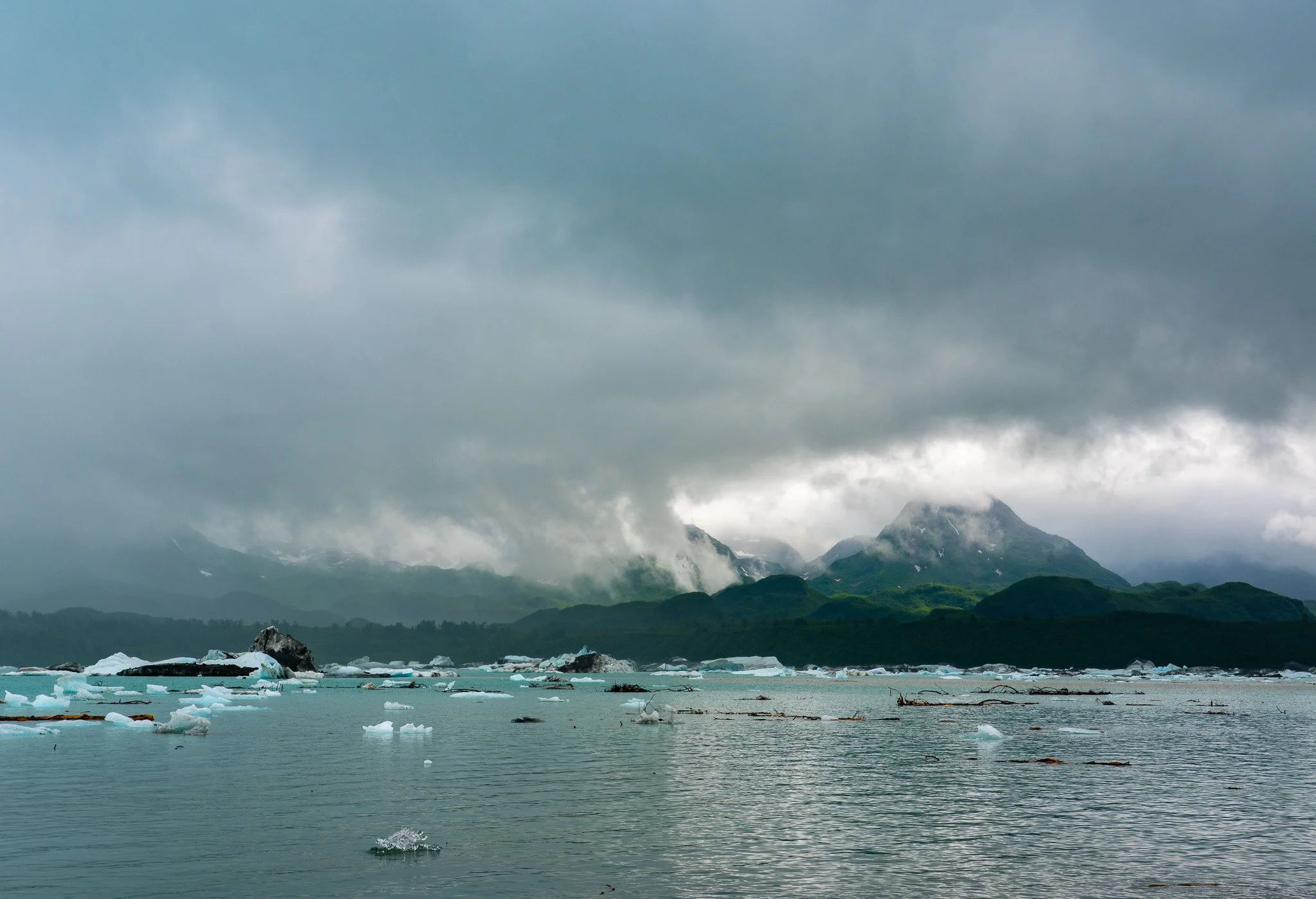 DSC08001.jpg