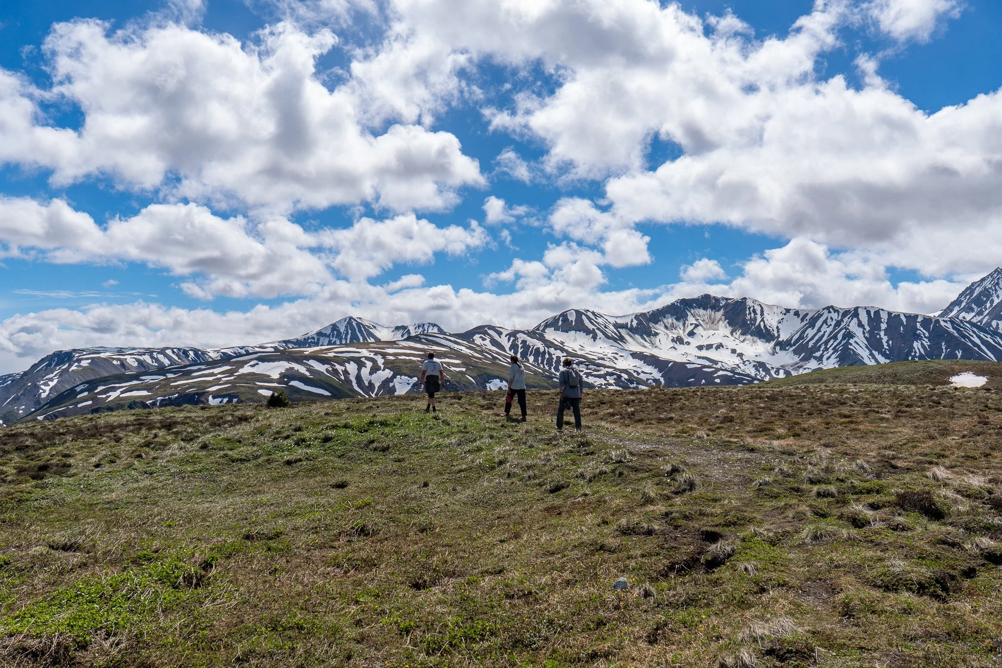 _DSC4306.jpg