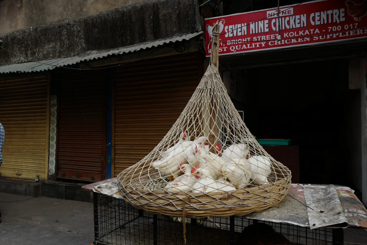 calcutta_07.jpg