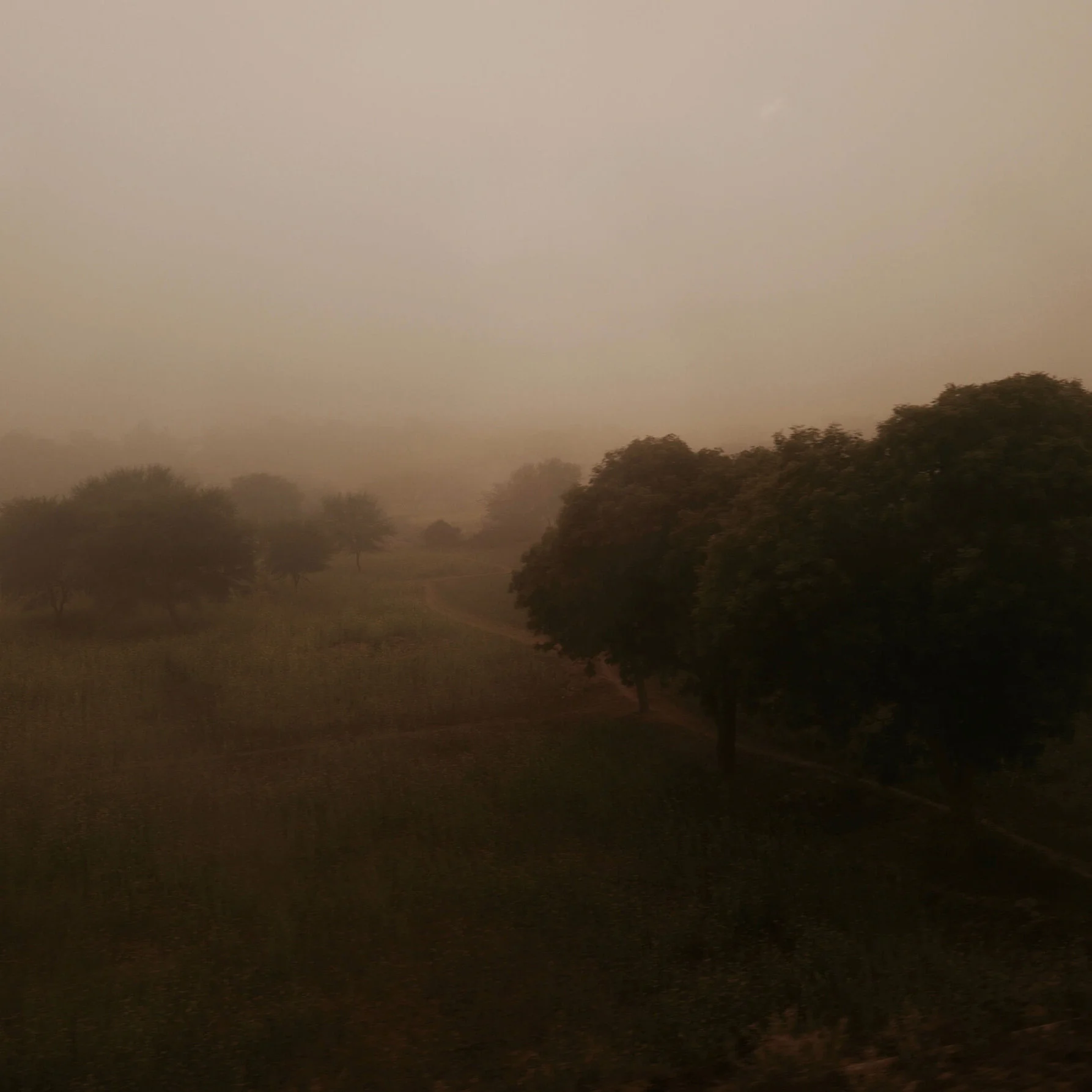 dawn_01.jpg