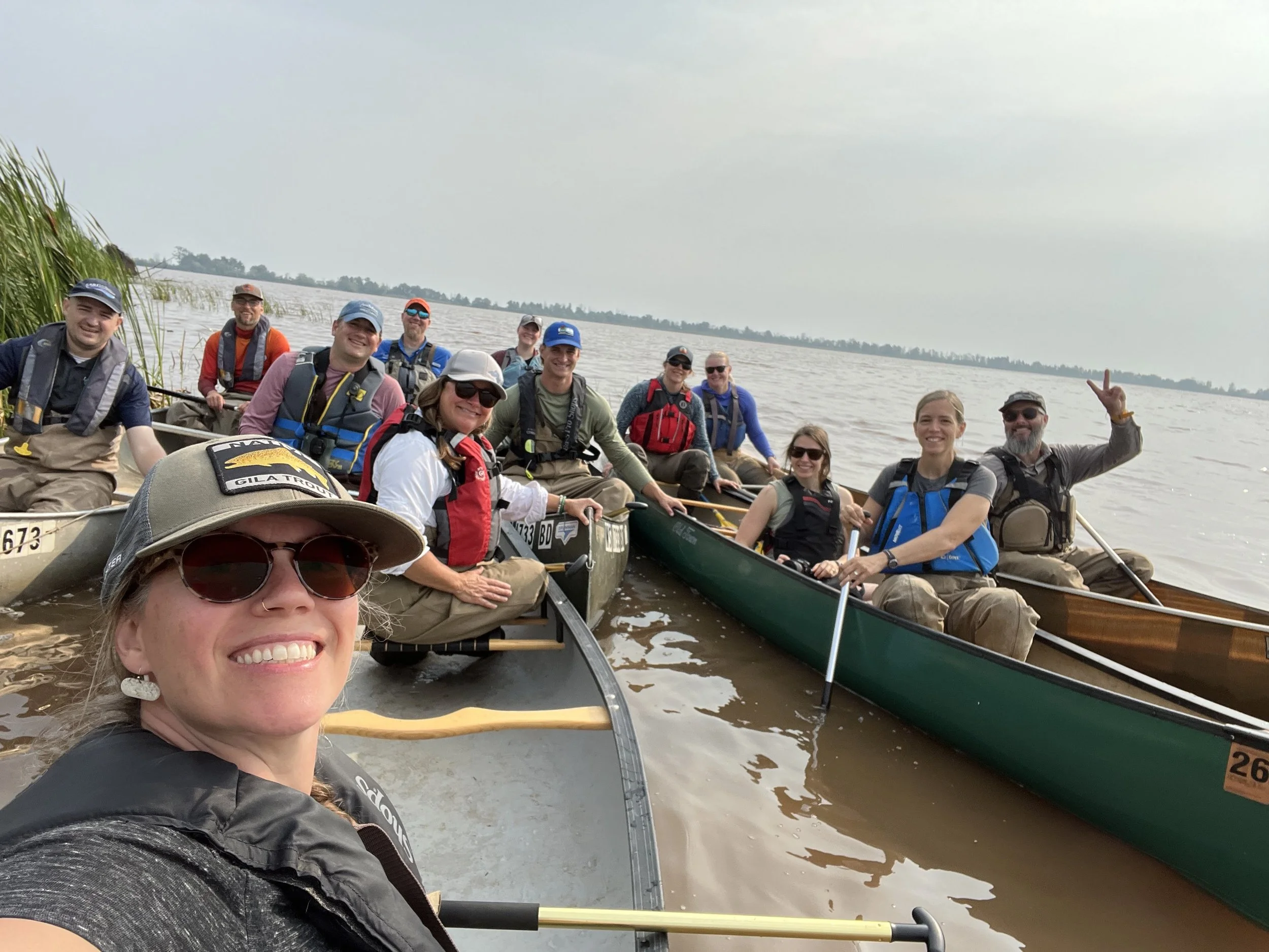 Paddling Through Restoration: A Look at the Allouez Bay Marsh Bird Habitat Project