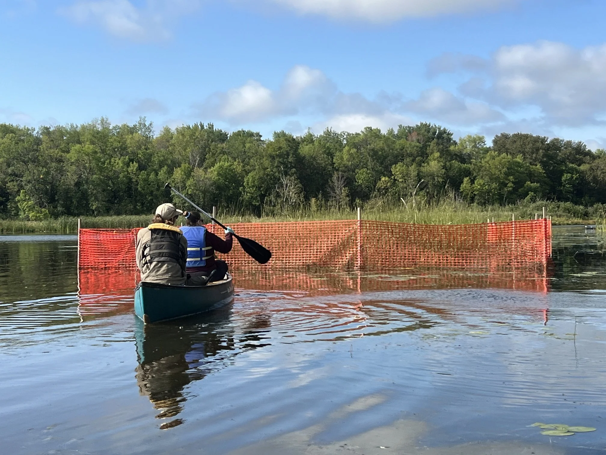 SLRA and the Wisconsin DNR plants 500 Pounds of Manoomin/Wild Rice in ...
