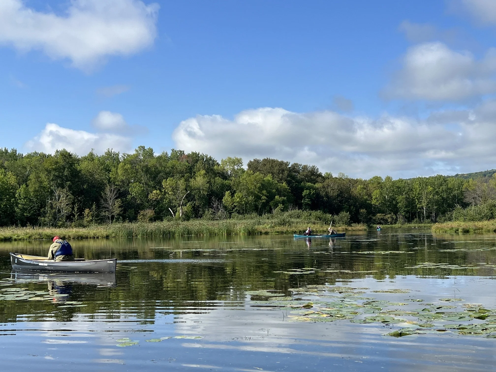 SLRA and the Wisconsin DNR plants 500 Pounds of Manoomin/Wild Rice in ...